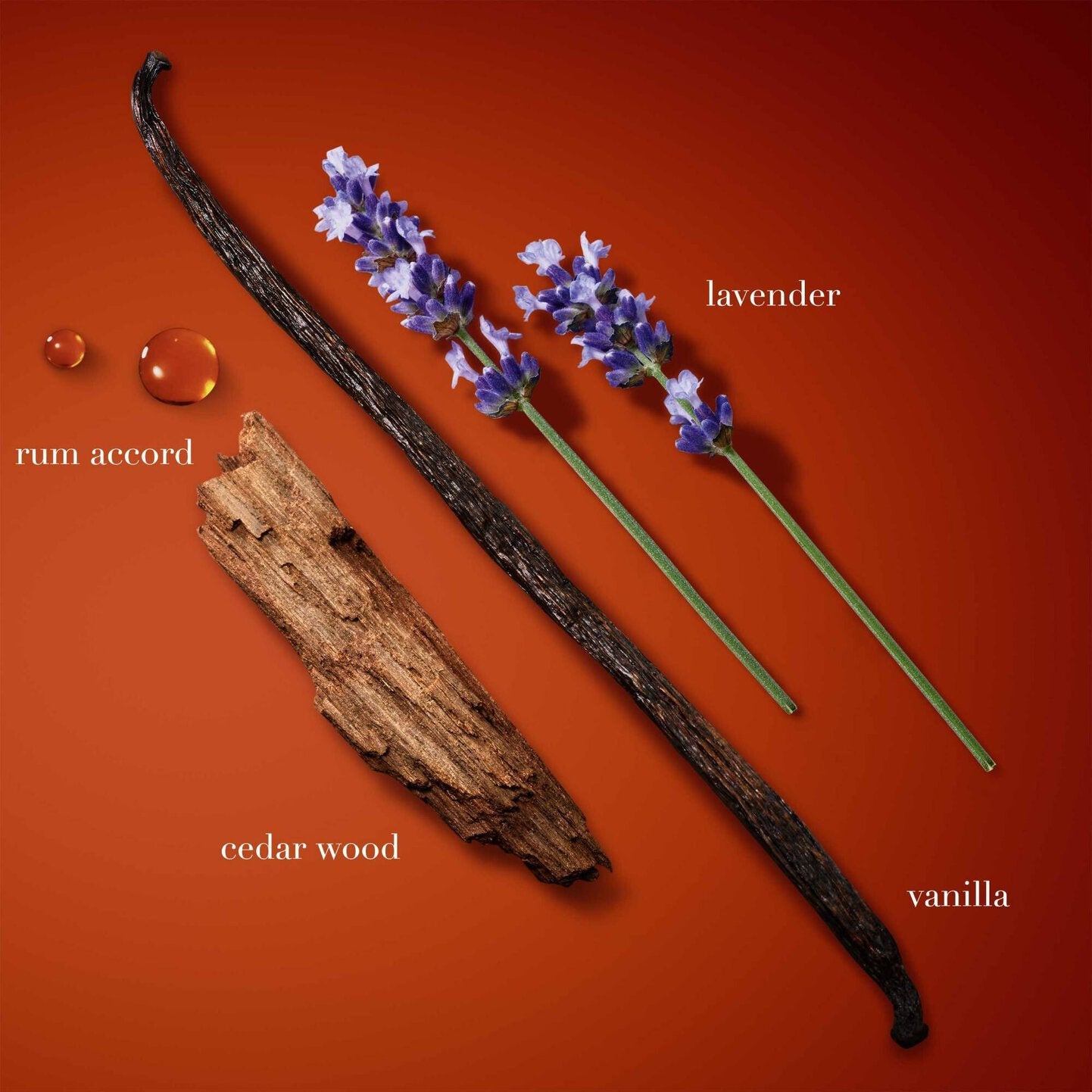 Stronger With You Absolutely by Giorgio Armani EDP 3.3 oz (Men)